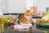 Funny cat, fresh vegetables, salad dish and measuring tape.