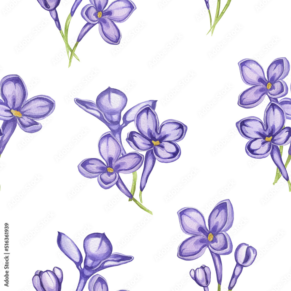 Obraz premium pattern Lilac. watercolor botanical illustration. lilac flowers