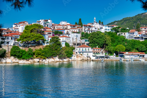 Homes of Skiathos along the city port, Greece © jovannig