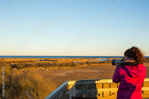 Young girl walking and photographing birds in AIguamolls De L Emporda Nature Park, Spain photo