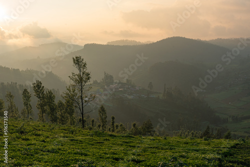 Sunlight passing though the mist and creating dramatic sunrise landscape