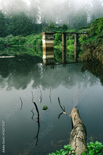 Foggy and moody image of a lake with a tree log and a bridge 