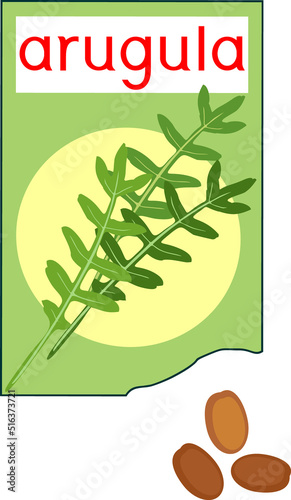 Open sachet with arugula (garden rocket plant) seeds isolated on white background