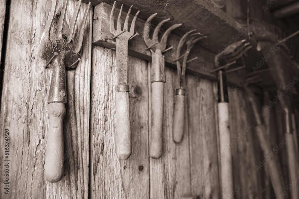 An old garden tool for loosening the earth. An old garden tool for loosening the earth.