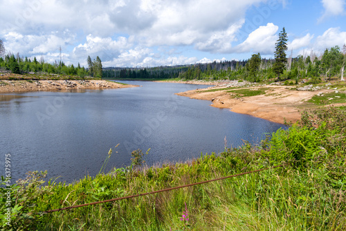 Am Oderteich im Oberharz -Sommer  photo