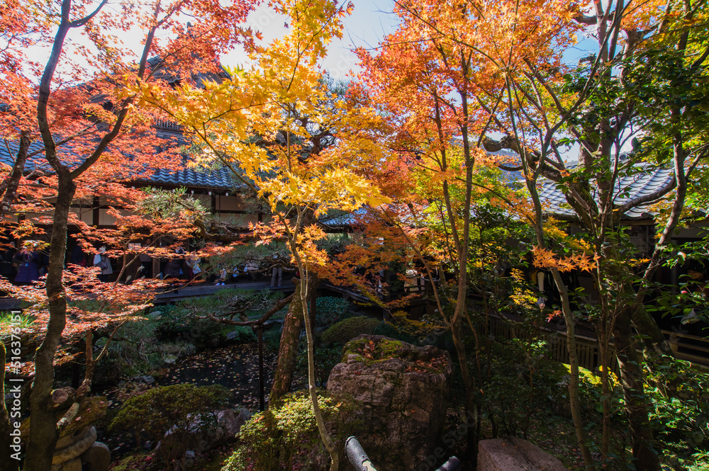 京都南禅寺から紅葉の永観堂