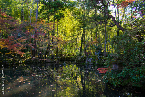 Obraz na płótnie 京都南禅寺から紅葉の永観堂 w salonie