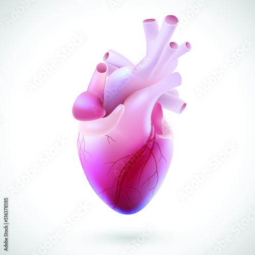 3D illustration of the vascular tubes of the human heart. use in medicine and education