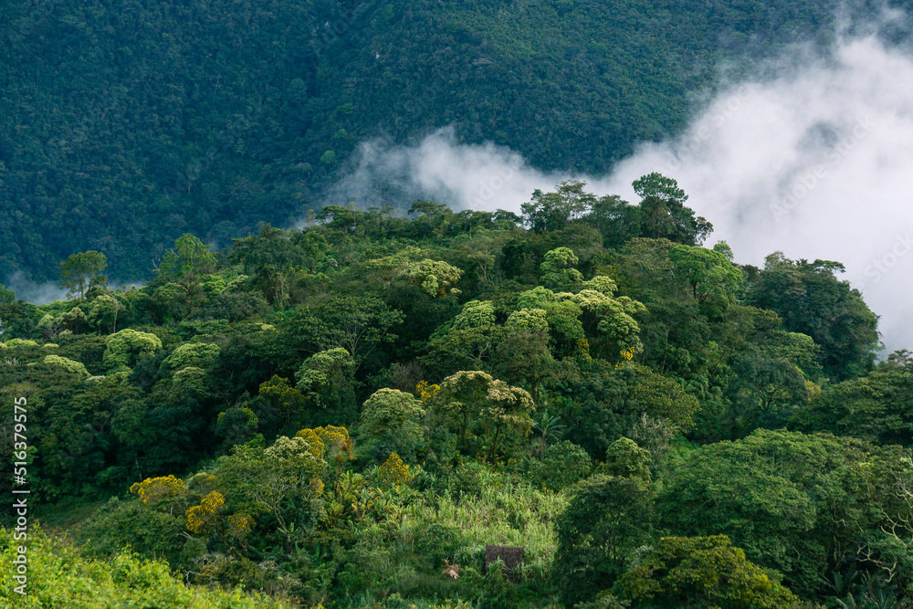 El Soch, zona Reyna, departamento de Uspantan,Guatemala, Central America