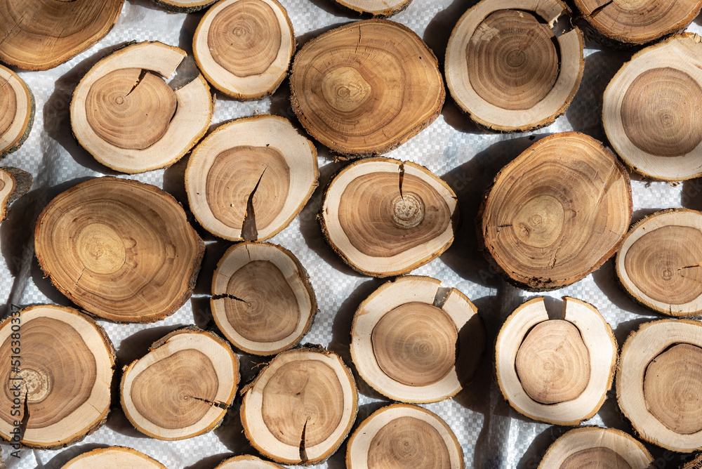 The texture of decorative tree trunk cuts. The texture of decorative tree trunk cuts.