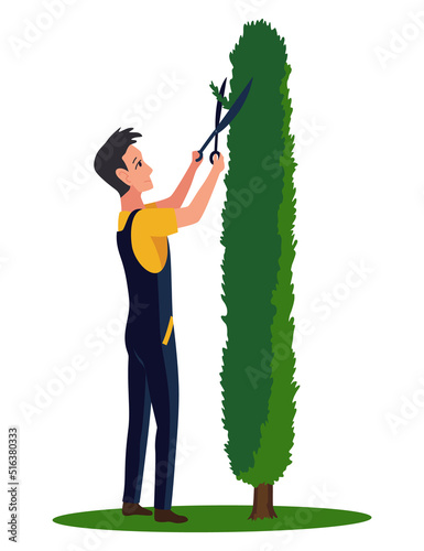 Professional gardener pruning tree with pruners or garden shears. Man working with shrubs in backyard. Colored flat vector illustration of worker in uniform isolated on white background