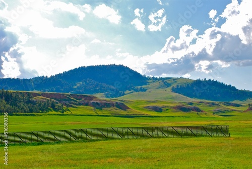 Green pastures in the Black Hills of SD 