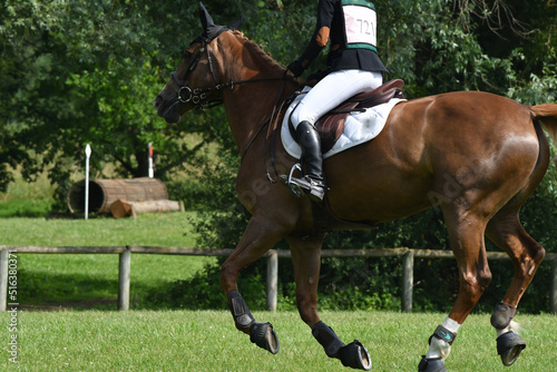 cheval et son cavalier dans un concours hippique © compagnie-17