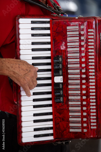 Closeup of accordionist and his instrument photo