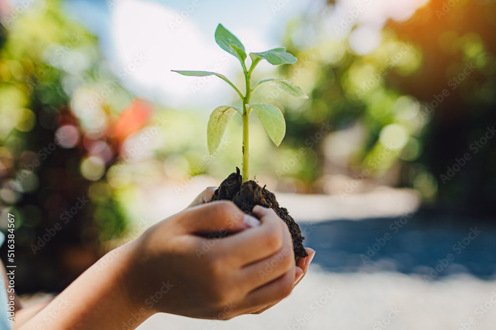 kid planting a tree for help to prevent global warming or climate