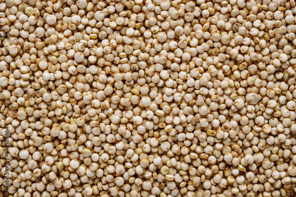 white quinoa seeds on a white acrylic background white quinoa seeds on a white acrylic background