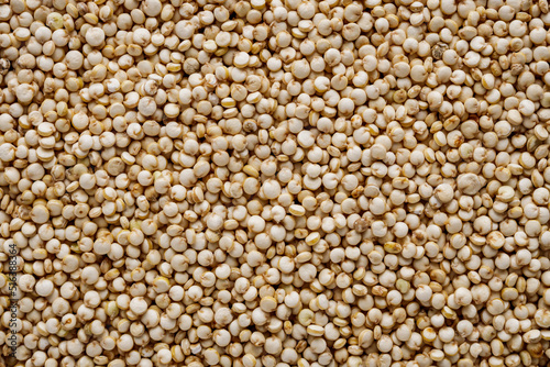 white quinoa seeds on a white acrylic background