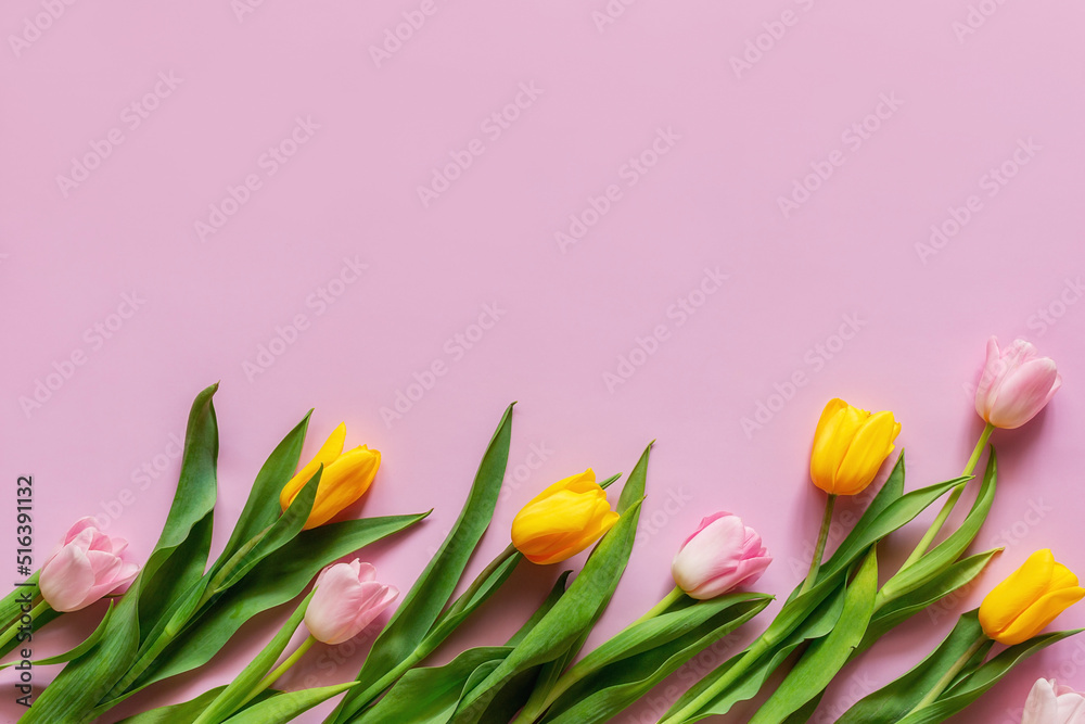 pink and yellow tulips on a pink background with space for text