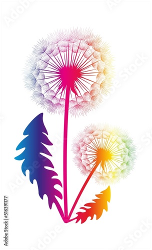 Vector illustration of Silhouette dandelions on white  background. EPS10 for logos or labels  postcards  posters  stickers  wall decor  wallpaper   etc. Wall art for decor. 