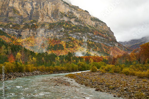 Colorful autumn season on Ordesa and Monte Perdido national park in Pyrenees of Spain..Ara river in Bujaruelo
