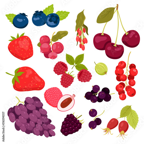 Set of different summer berries. Fresh fruits, grapes and cherries, strawberry and blueberry, forest blackberry and cranberry, smoothie ingredients, vitamins food vector illustration