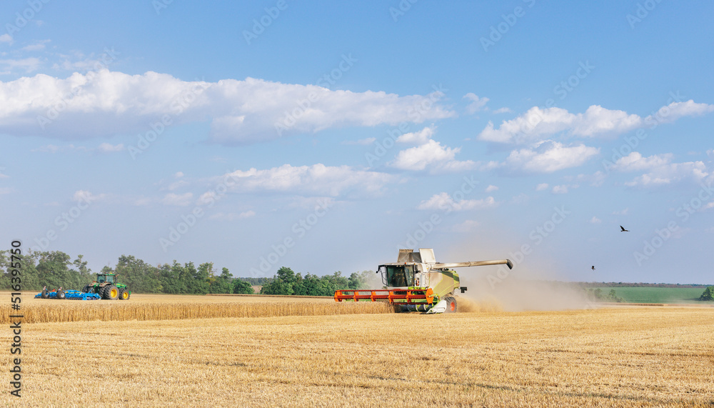 Obraz premium Combine in the field harvests wheat. Export and import of wheat from Russia. World food crisis.
