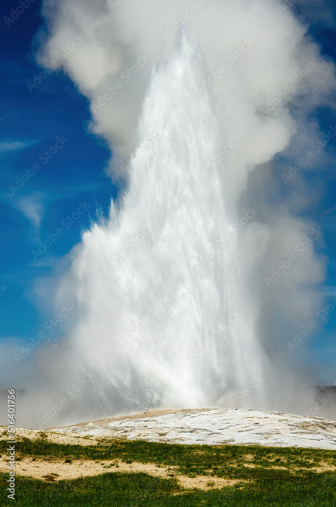 Old Faithful geyser in Yellowstone National Park