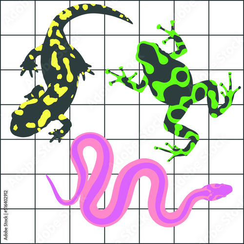 Dangerius poisen animals, snake, drog, szalamandra. Jungle animals seamless pattern with tile background.