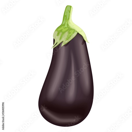 Eggplant for banners, flyers, posters, cards, social media. Aubergine, brinjal, nightshade family. Fresh organic and healthy, vegetarian vegetables. Vector illustration isolated on white background.