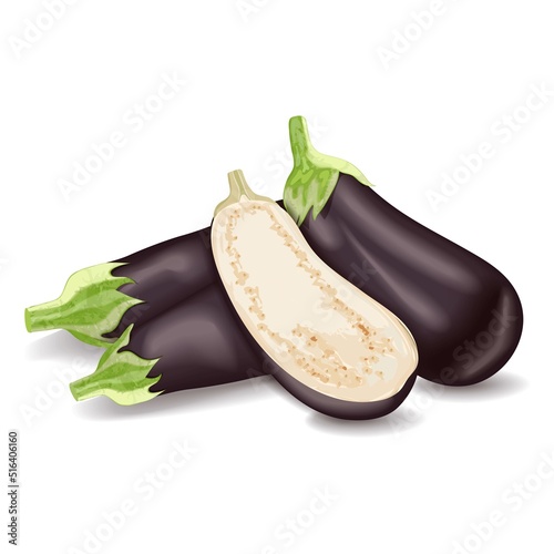 Whole eggplants and half aubergine for banners, flyers, posters, social media. Brinjal, nightshade family. Fresh organic and healthy vegetables. Vector illustration isolated on white background.