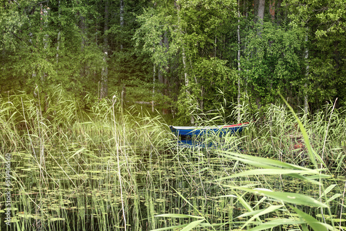 boat on the lake. A forest lake overgrown with grass and reeds. Ecosystem