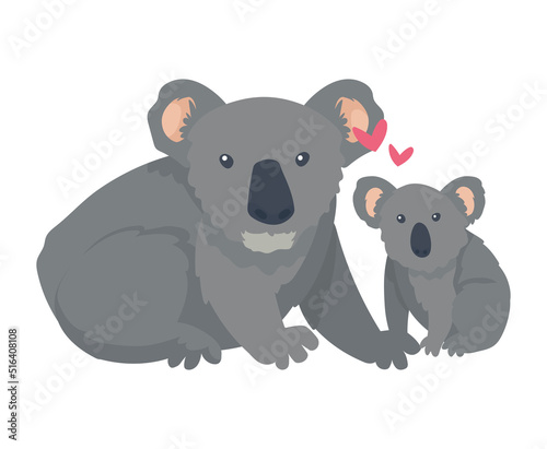 Photography koala mother and baby