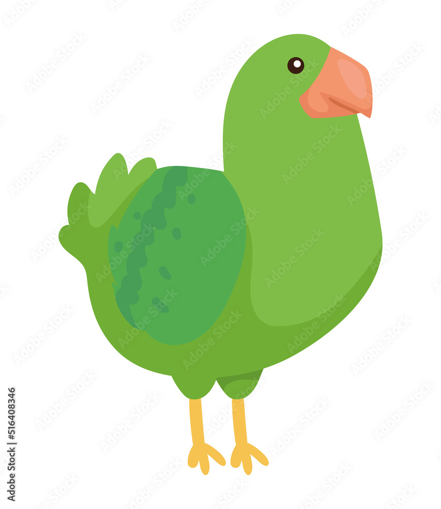 Fototapeta premium cute parrot animal wild