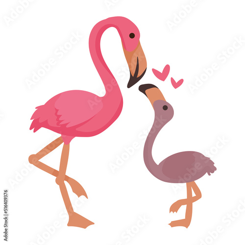 flamingo mother and baby