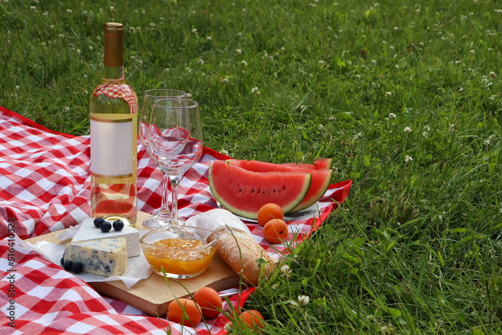 Picnic blanket with delicious food and wine outdoors on summer day, space for text