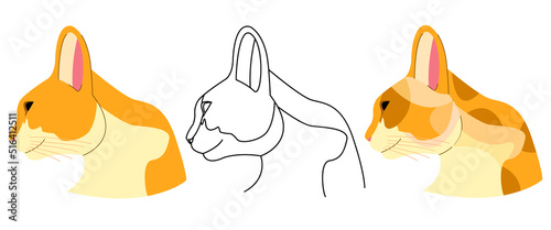 Cat pose flat vector illustration, cute cats design with thin line and flat colour