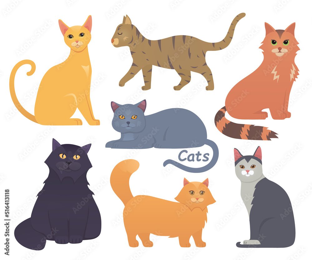 Cute cats vector set. Cartoon cat or kitten characters collection in different poses. Pet animals collection on white background