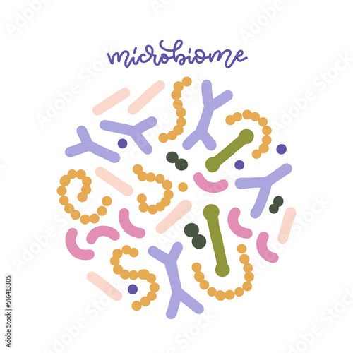 Probiotic bacteria set in circle composition with lettering word. Gut microbiota with healthy prebiotic bacillus. Lactobacillus, acidophilus, bifidobacteria. Microorganisms for biotechnology. Vector