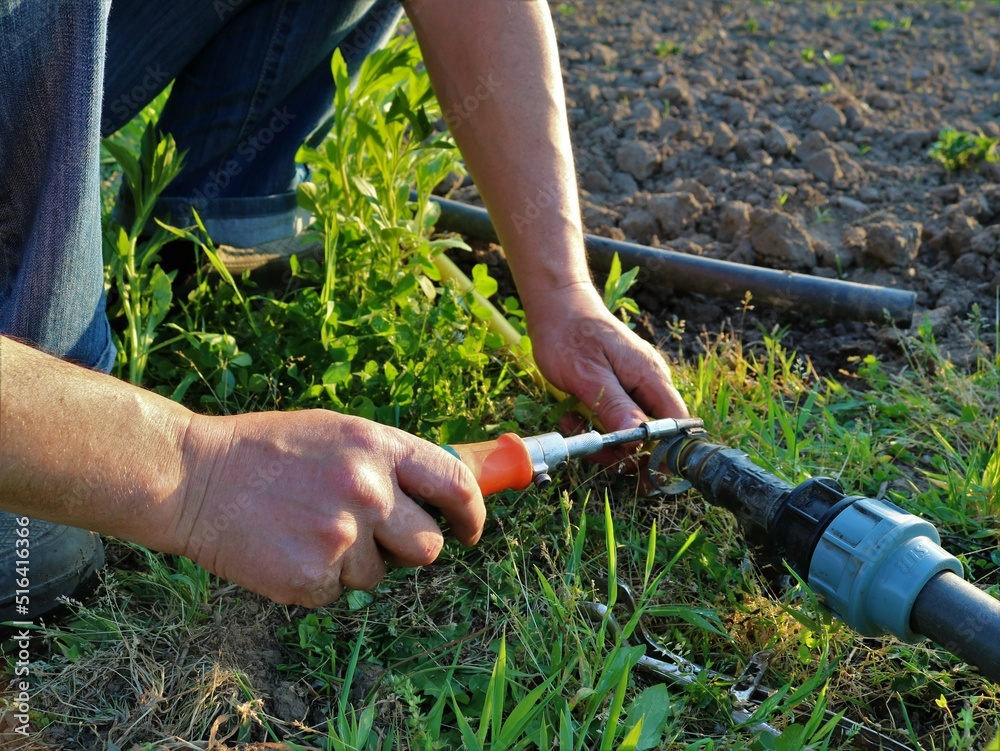 tightening the clamp on a plastic garden irrigation pipe using a