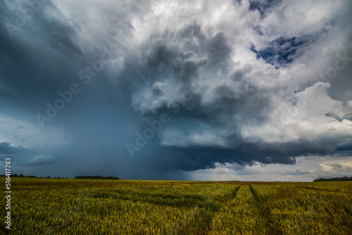 Storm clouds over field, tornadic supercell, extreme weather, dangerous storm © lukjonis