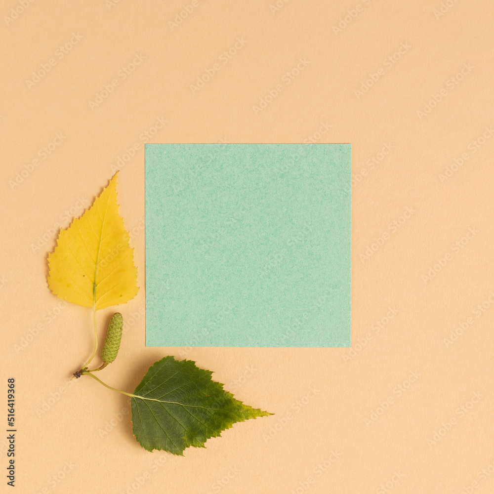 Autumn dry yellow leaves with copy space. Autumn dry yellow leaves with copy space.