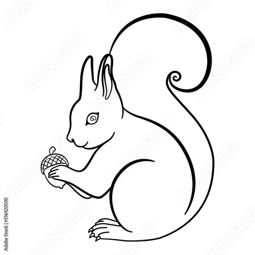 Vector illustration squirrel.
Vector decorative template illustration for printing on postcards, t-shirts, bags, cups, clothing, Wallpaper, posters, coloring books, interior paintings.