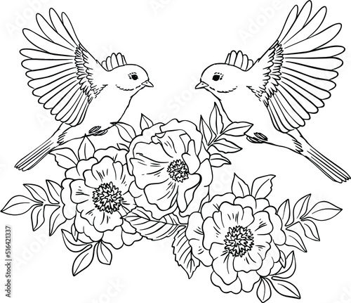 Bird on poppy flowers