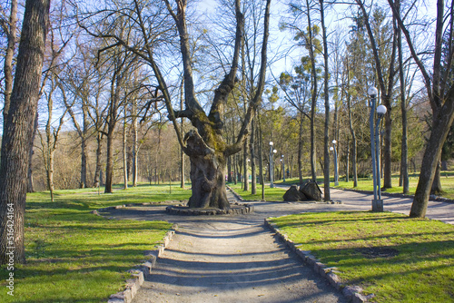 Park near the Palace of the Lopukhin-Demidovs in Korsun-Shevchenkovsky, Ukraine	
 photo