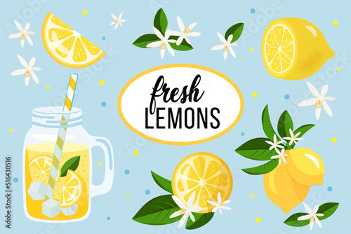 Lemon set. Fruits, lemons, lemon slices, flowers, leaves, lemonade in a jug. Blue background. Vector illustration