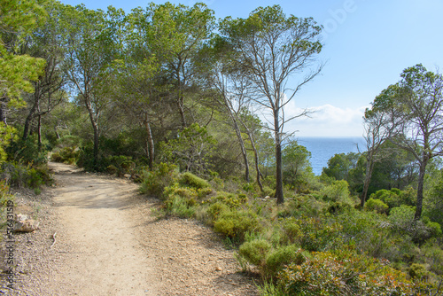 Trail leading to coastal cliffs and turquoise sea water in coastline of Peguera