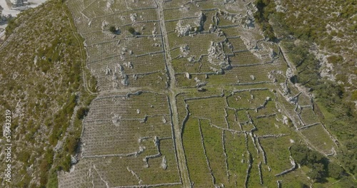 Traditional Mediterranean vineyards in the hills photo