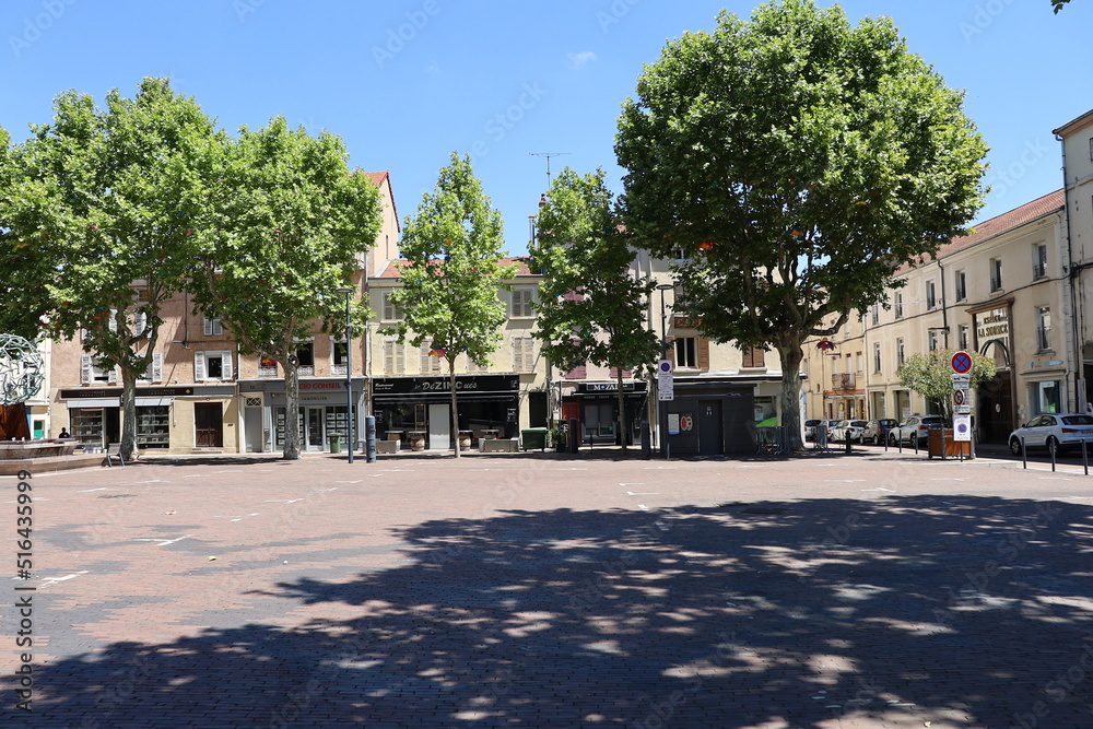 La place du marché, ville de Roanne, département de la Loire, France