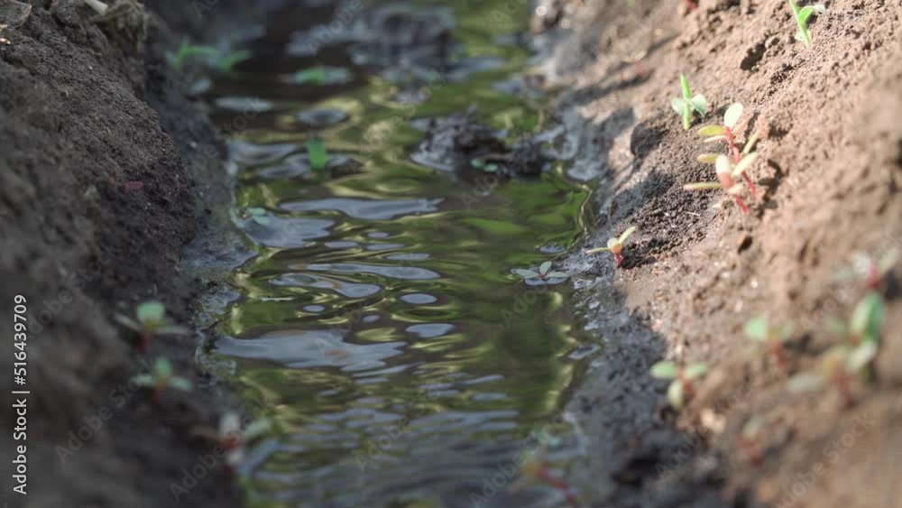 Close-up of water that flows through small irrigation canal for watering plants.