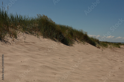 The Baltic Sea, wild coastal dunes